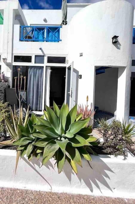 17 Puerto Del Carmen Blueshark Διαμέρισμα Εξωτερικό φωτογραφία